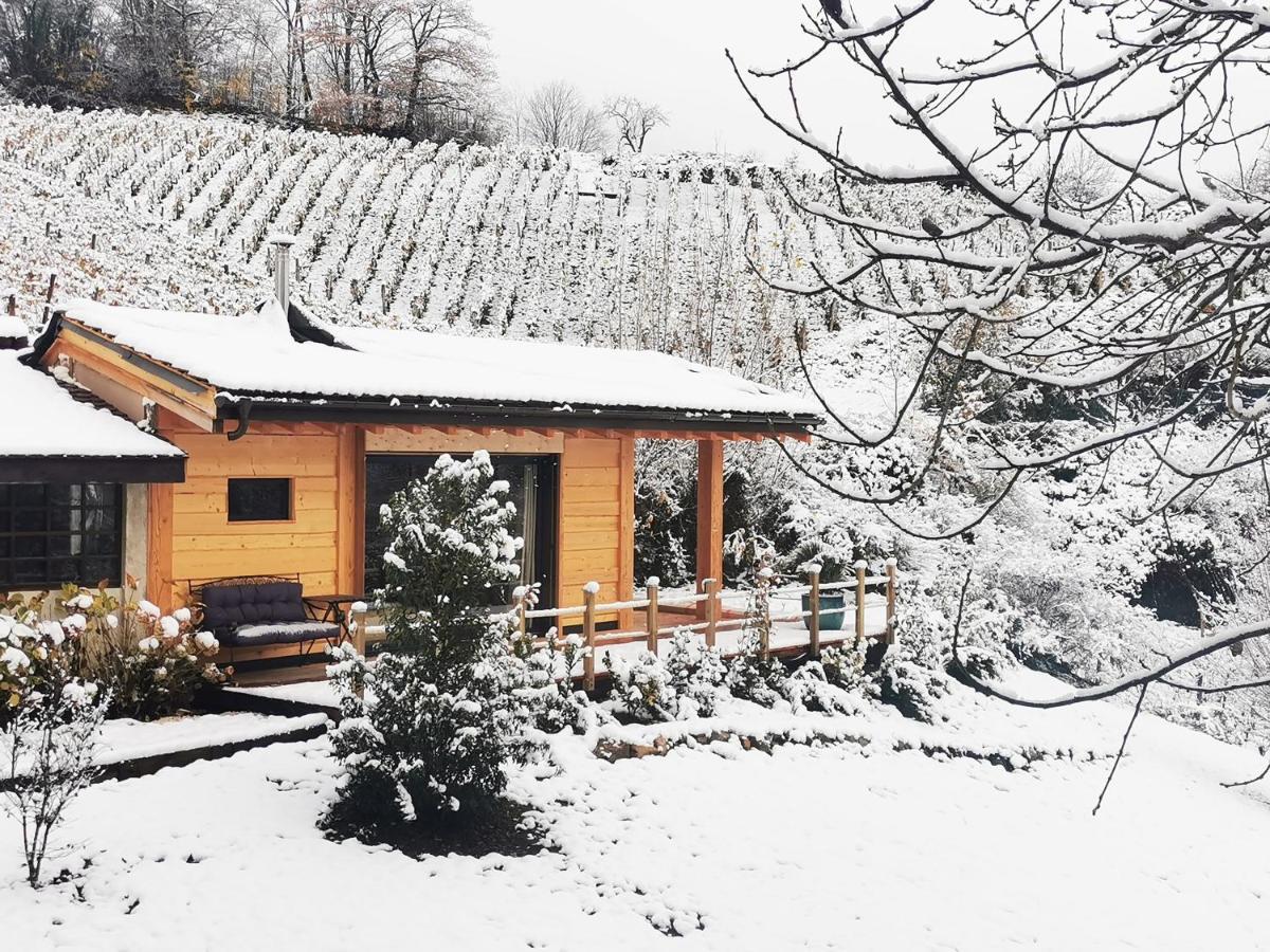 L'Etang De La Tourne Bed & Breakfast Les Marches Ngoại thất bức ảnh